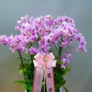 경기도 수원시 팔달구 장다리로219번길 이미지