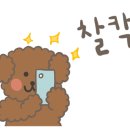 리나베이프 이미지