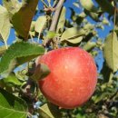 국토보상 행정사 사무소 이미지