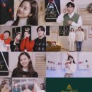 캐롤컴퍼니 이미지