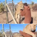 웃는 강아지 이미지