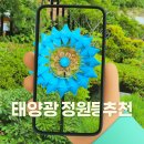 [태양광 정원등 추천] 낮엔 컬러풀한 회전, 밤엔 낭만 조명까지!