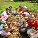 재미있는 NetizenEyeNews 06. 6. 26. 월. 이미지