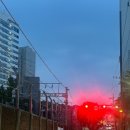 2747 | 충정로역 술집 기찻길 낭만이 있는 고프고프 내돈내산 후기