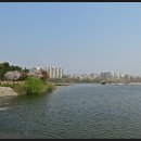 서호공원 이미지