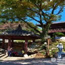 봉화약수 이미지