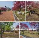 도진리마을회관 이미지