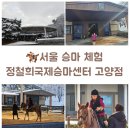 정철희 국제승마센터 | 서울 승마 체험 아이와 정철희국제승마센터 고양점 방문후기