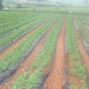 빛들마을 이미지