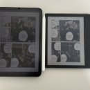 진진토탈 이미지