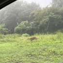 발현목장 이미지