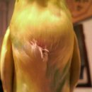 가든조류원 이미지