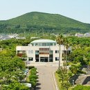 오라 제주매일