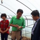 조영심 농장 이미지