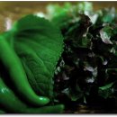 대장금삼겹살 이미지