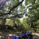 힐링마트 이미지