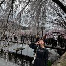 리빙앤기빙 | 2024에도 봄이왔다요