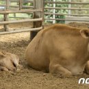 황고개농장 이미지