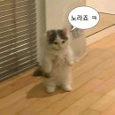 희희술집 네이버블로그