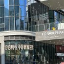 광주070 | 광주 다운타우너 상무지구 맛집 햄버거 솔직후기