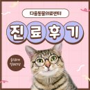 다올메디칼 이미지