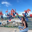 도그루아 이미지