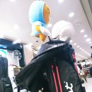 티노파이브구리