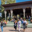 아프리칸아트 이미지