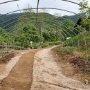 초원목장1 이미지