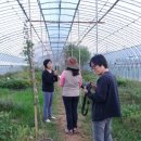 마송농장 이미지