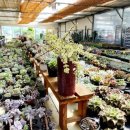 살구미농장 이미지