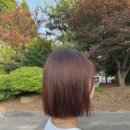 천혜미용실 | 포천혜룸헤어 예민한 동생이 만족해하더라고요 ㅎㅎ