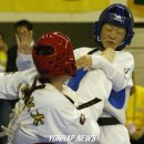 코리아태권도체육관 이미지