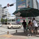 그늘막31 이미지