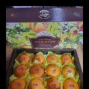 준2농장 이미지