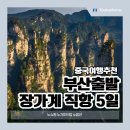 천하세계맥주 - 당진시 | 부산출발 장가계 직항 패키지 여행 총정리 (코스·비용·후기)
