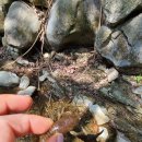 온양제일유치원 이미지