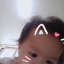 법무사박정은사무소