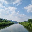 힐링이 되는 비내섬 이미지