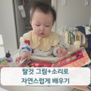 북13 | [플레이송스 사운드북②] 빵빵 13개월 아기 사용 후기
