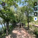 [도로]일월공원 주차장1 | 수원 일월수목원 주차 총정리 | 무료 일월호수공원 코스까지