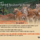 한국사슴백화점 이미지