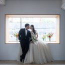 대구 에스스튜디오 웨딩찰영 후기