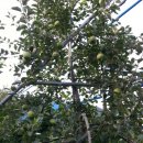 중근농장 이미지