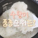 삼광개발 | 맛있는쌀 추천 품종 수향미 백미 순위까지 함께 알아가세요