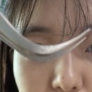 엔젤2호 | 다이소 노글루 속눈썹 꽁래쉬 2호, 4호 후기