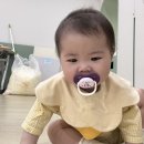 애기똥풀 어린이집 | 포항 이동 이마트 문센 애기똥풀 후기🫶