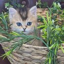 도그샤워 이미지