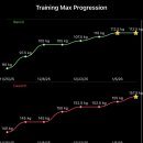 531 | [스트렝스/파워리프팅] nSuns 531 8주 후기