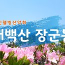 2025년 5월 25일 (일) 태백산 장군봉 소개 영상 이미지